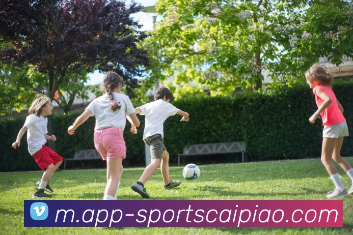 大发彩票服务体系